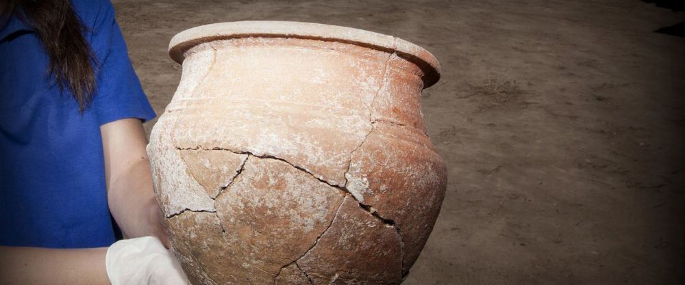 Arquex, S.l. (soluciones Integrales en Patrimonio)