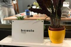 Bisiesto Estudio (online)