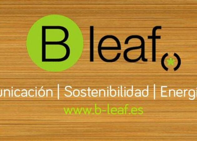 B Leaf